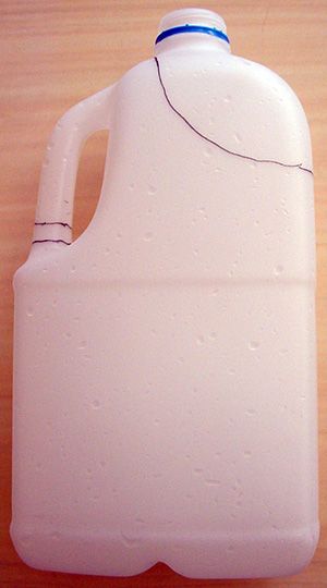 Milk bottle with cutting lines for making a peg bucket