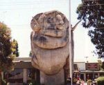 The Big Merino