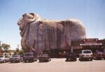 The Big Merino