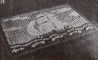 Sailing ship tuft rug