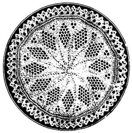 Vintage doily knit flat on two needles