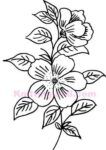 Floral Embroidery Pattern