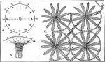 How to Make a Daisy Wheel