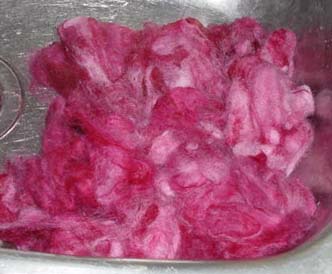 Dry dyed locks of finn wool