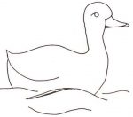 Gulls and Ducks c1920-30
