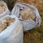 Washing Fleece