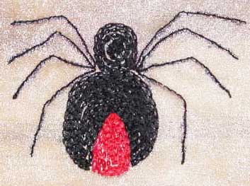 Chain stitch embroidered spider