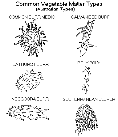 Australian Vegetable Matter Types