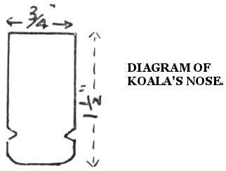 Nose diagram