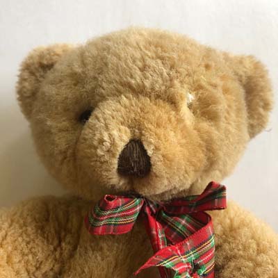 Teddy bear with a missing eye