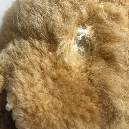 Teddy bear's missing eye showing where the seam was coming undone.