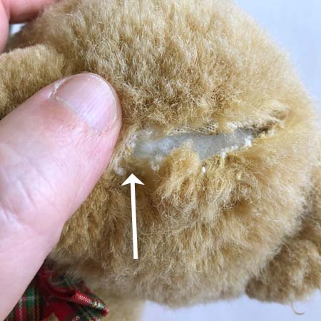 Teddy bear with an arrow showing where the new eye will be replaced.